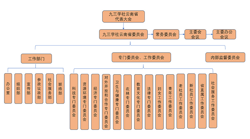 组织结构图-1.jpg